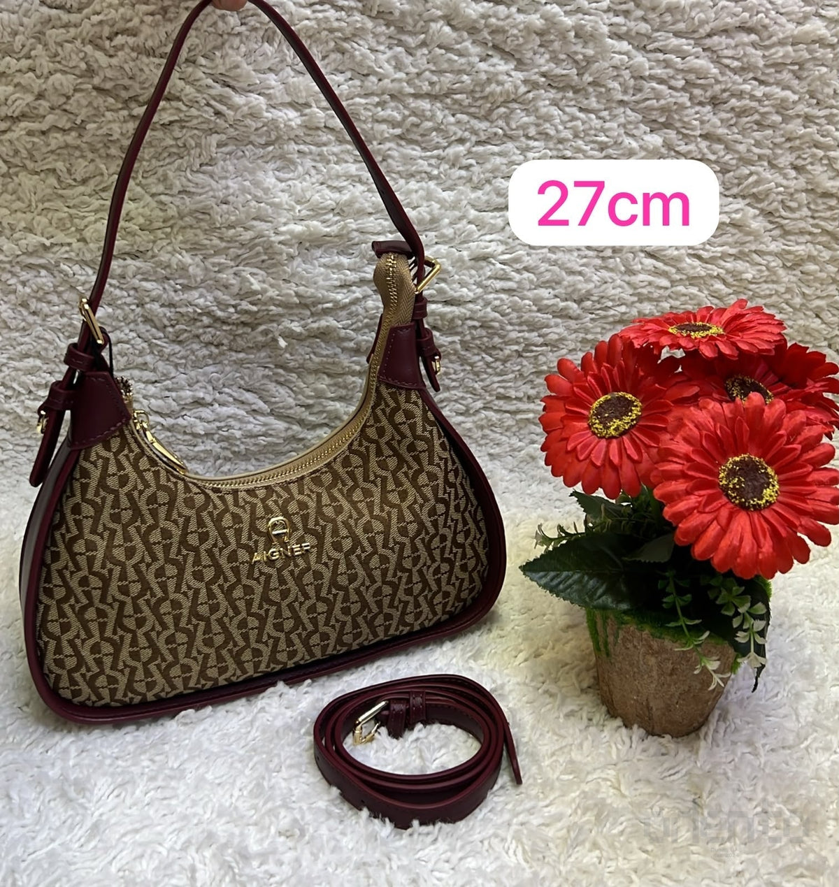 Aigner Bag Monogram Canvas Hobo Shoulder – product view