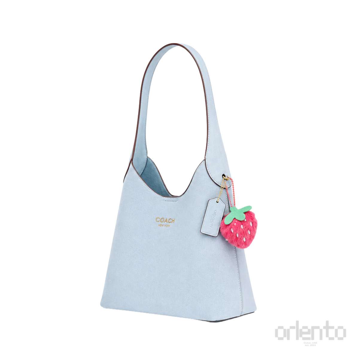 Coach Brooklyn 28 Ice Blue Bag – product view