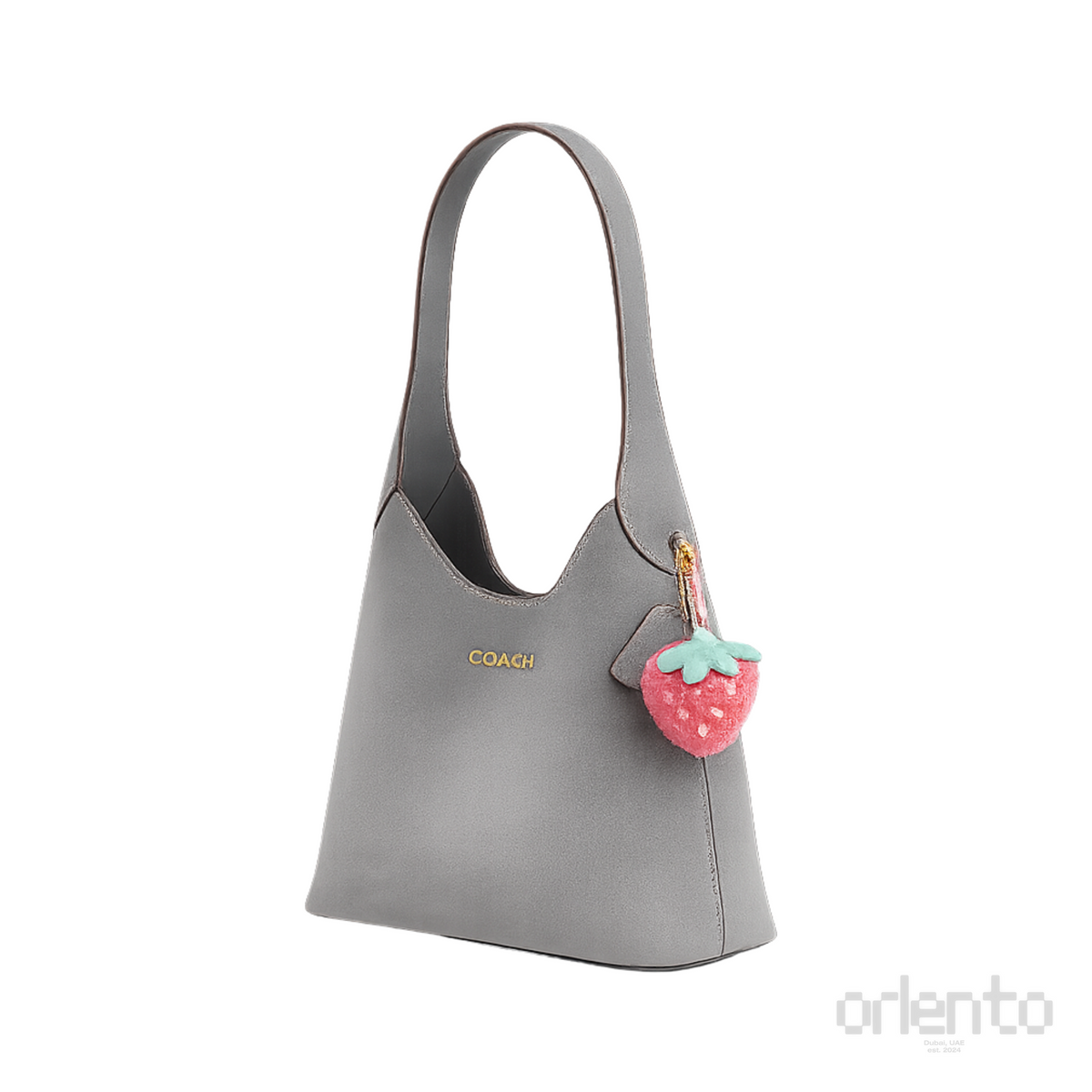Coach Brooklyn 28 Grey Bag – product view