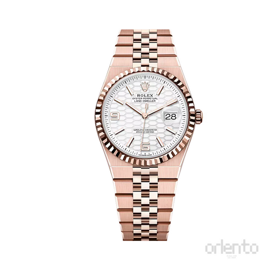 Rolex | Land-Dweller