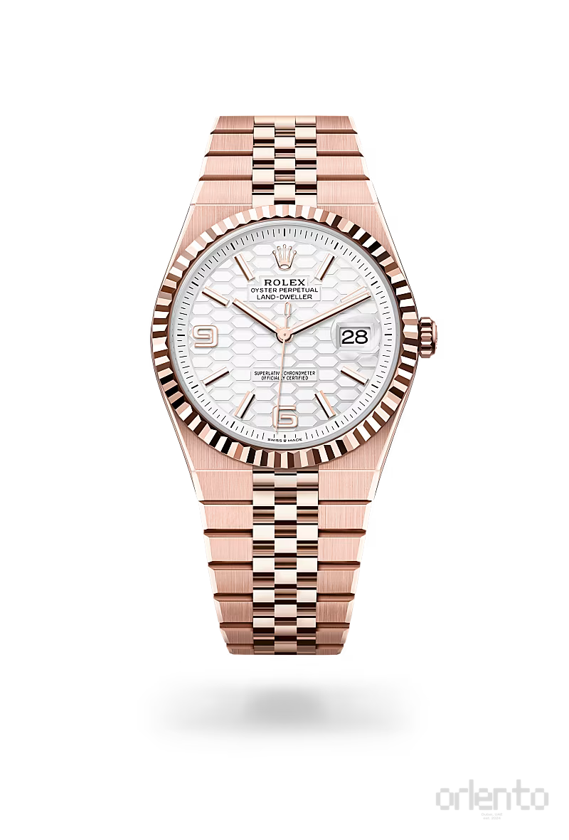 Rolex | Land-Dweller - Free & Fast UAE Shipping