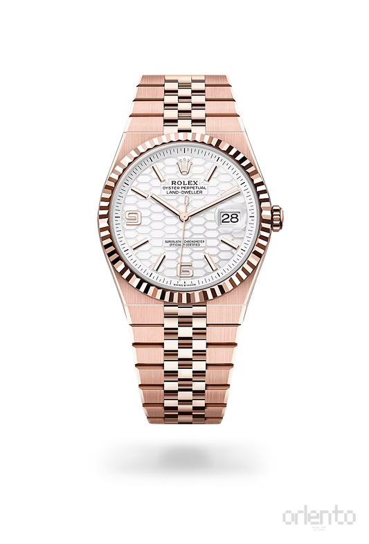 Rolex | Land-Dweller - Free & Fast UAE Shipping
